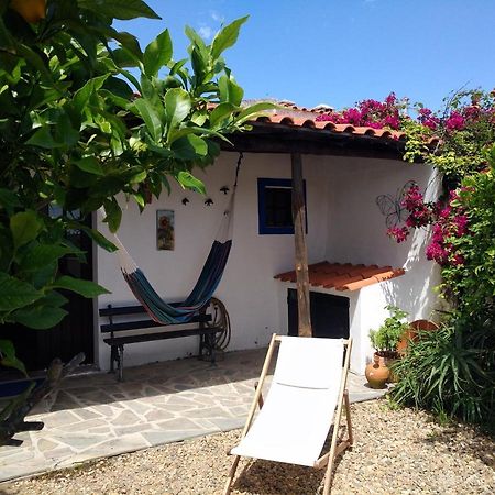 Montoito Casa Da Tia Luisa 빌라 외부 사진