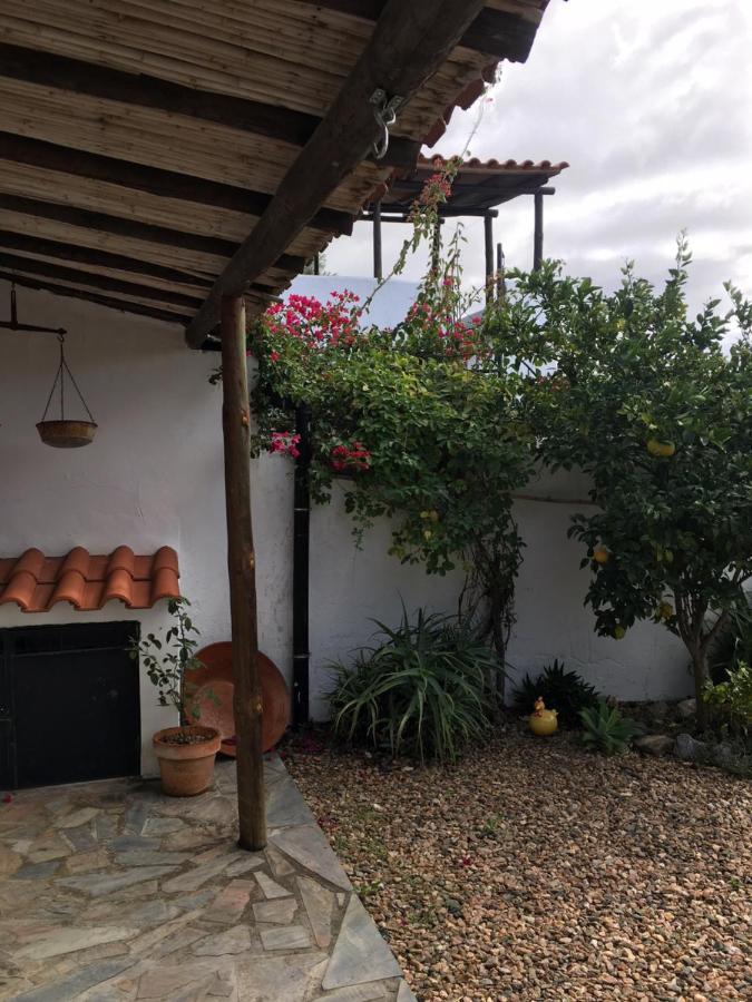 Montoito Casa Da Tia Luisa 빌라 외부 사진